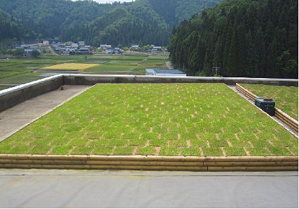 2 后期维护管理效果实例（铺设完成2周后）_看图王.png